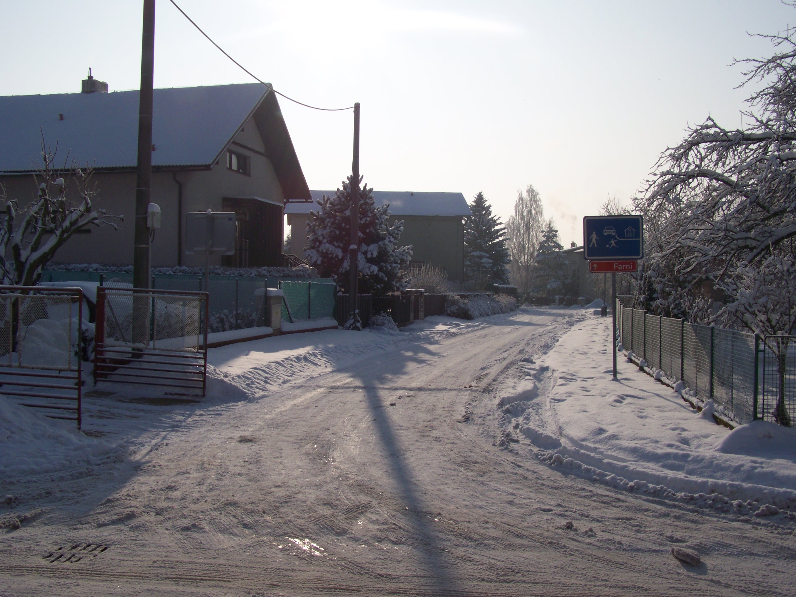 Picture_0338